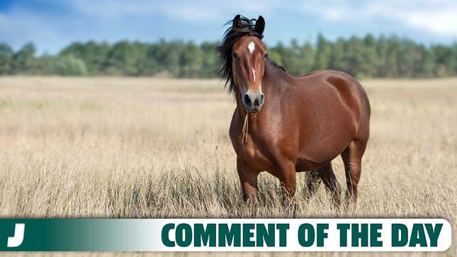 Image de l'article intitulé Je ne sais peut-être pas grand-chose sur les chevaux, mais par Dieu, j'apprendrai